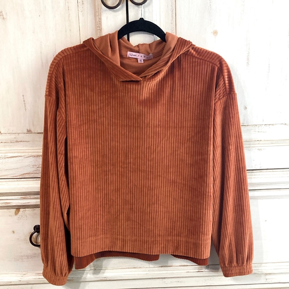 Crave Fame Cozy Ribbed Velvet Hoodie Rust Size Medium - Picture 2 of 6